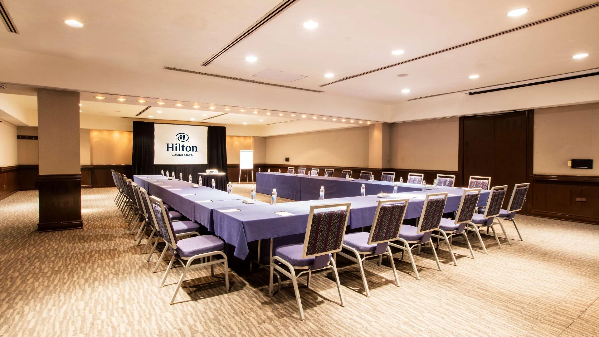Hotel Barcelo Guadalajara